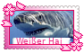 Weisser Hai