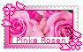 Pinke Rosen